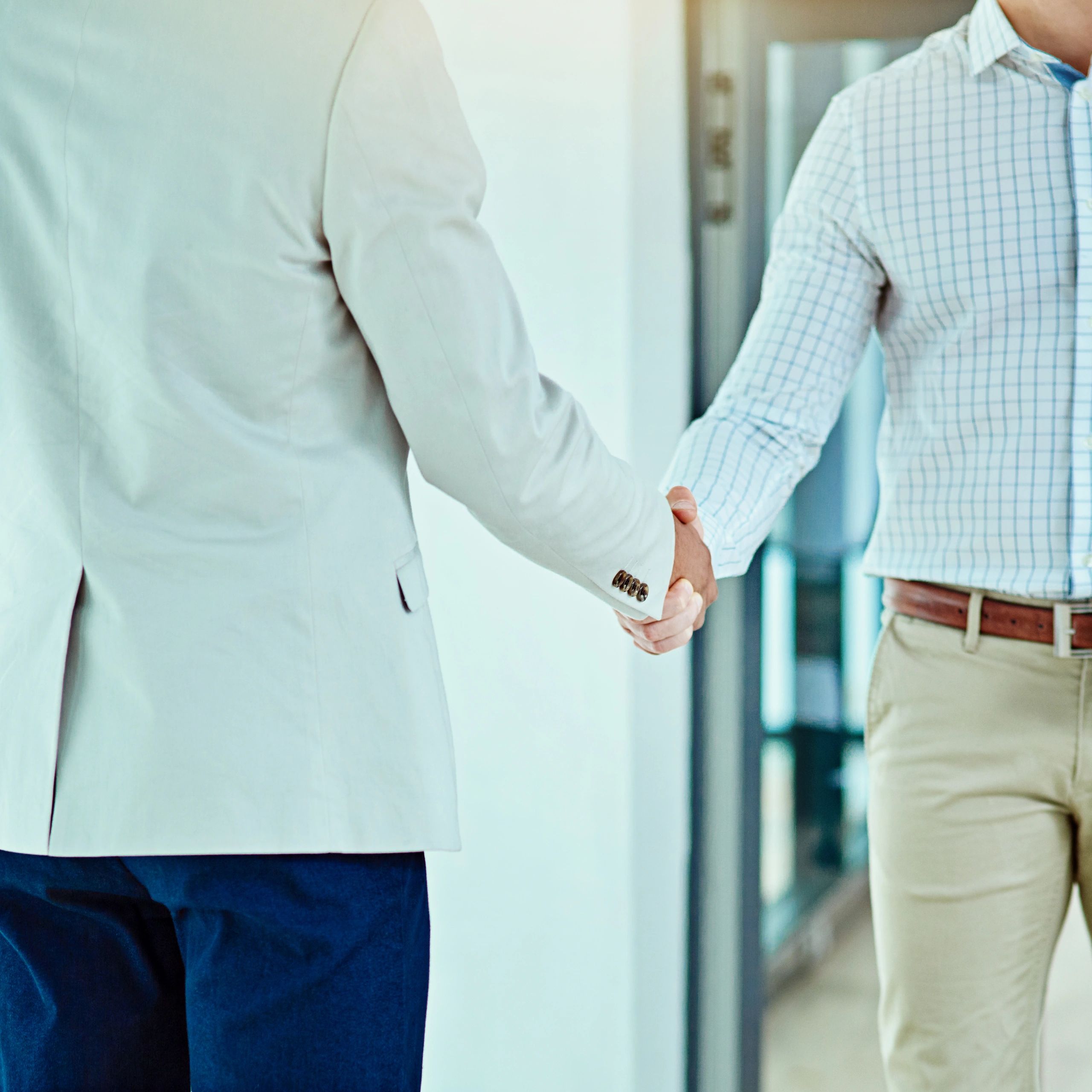 Two professionals shaking hands